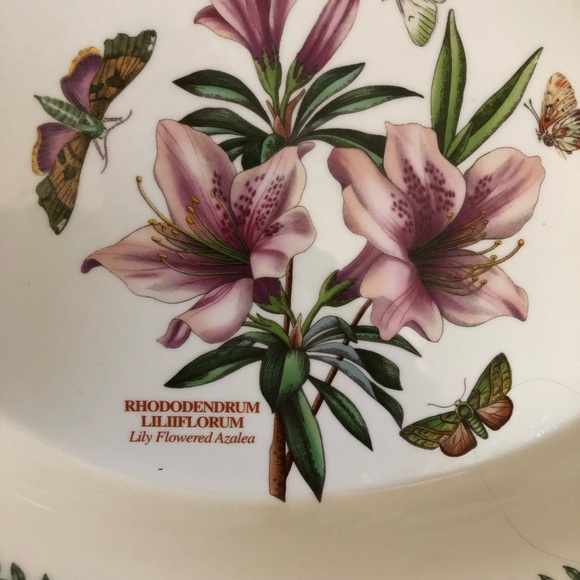 Portmeirion 1972 Botanic Garden 14” Oval Baking Dish with handles - Picture 2 of 4